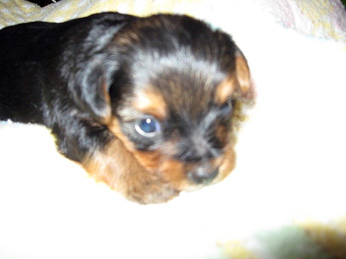 June 15, 2011