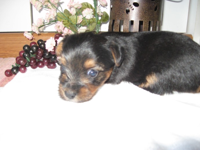 June 18, 2011